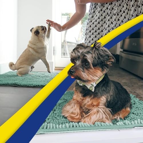 Muddy Mat® | Super Water Absorbent Door Mat Indoor, Microfiber Quick Dry Chenille Entryway Rug, Slip Resistant Front Door Mat, Indoor Mats for Entryway,Machine Washable Pet Rug, Seafoam Green 24"x96"