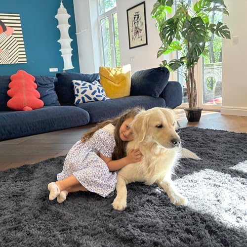 OLANLY 10x10 Machine Washable Large Area Rugs for Living Room, Bedroom, Soft Fluffy Shaggy Bedside Rug, Indoor Floor Carpet for Kids Girls and Boys, Dorms, Nursery, Home Decor Aesthetic, Grey