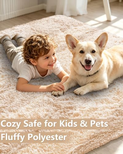 Smiry Area Rugs for Living Room Bedroom 6x9 ft, Fluffy Washable Carpet