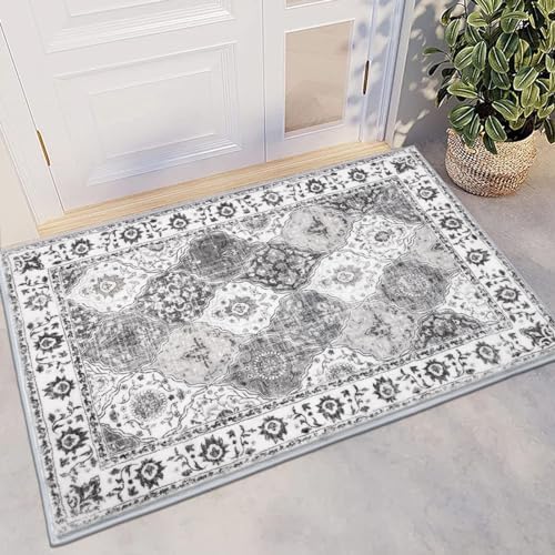 HEBE Indoor Door Mat 2'x3', Washable Welcome Mat for Front Door Entrance