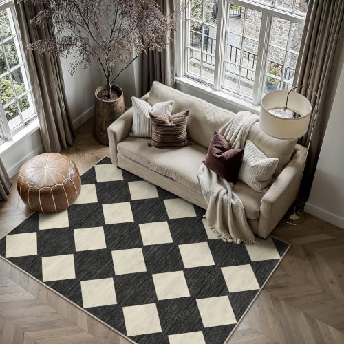 PureCozy Black 3x5 Washable Area Rug Entryway Small Non Slip Checkered Rugs