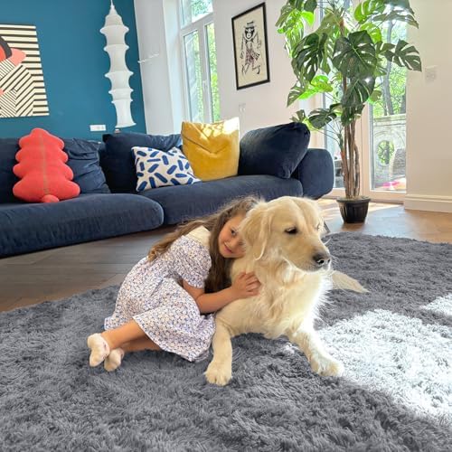 OLANLY 3x4 Machine Washable Accent Rug, Soft Fluffy Shaggy Area Rug for Bedroom, Living Room, Indoor Floor Carpet for Kids, Nursery, Home Decor, Light Grey