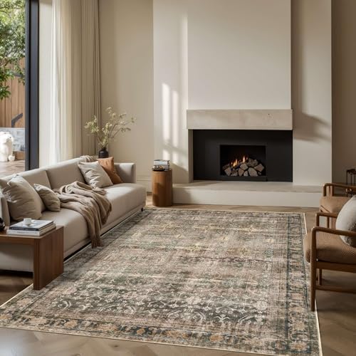 Rugxara Brown 6x9 Area Rugs Washable Rug for Living Room Dining Bedroom