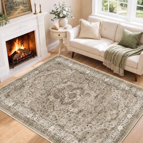 SameBed 5x7 Area Rug Living Room, Vintage Washable Carpet Brown