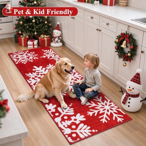 HEBE Christmas Indoor Door Mat 2'x3', Vintage Snowflake Entryway Rug