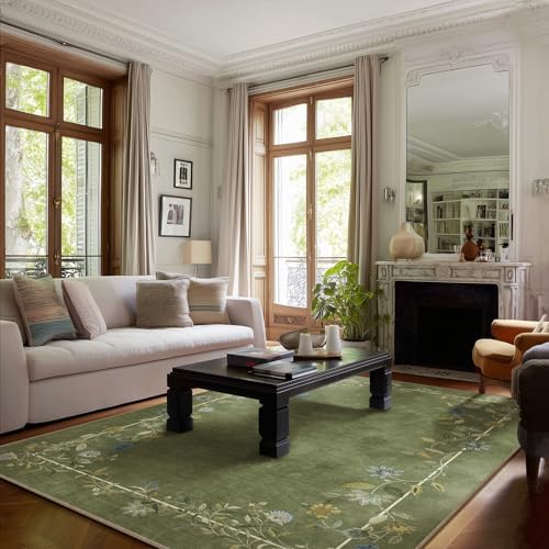 Washable Bedroom Area Rugs 4x6: Small Living Room Rug Non Slip Throw Carpet