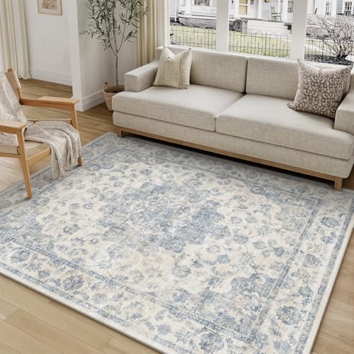 4x6 Blue Neutral Area Rug