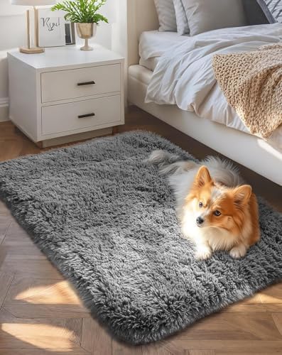 Ophanie 2x4 Small Rug Upgrade Non Slip Throw Bedside Area Rugs, Fluffy Soft Grey Mini Bedroom Carpet, Affordable Door Entryway Indoor Inside Front Entrance Dog Mat, Home Decor Aesthetic, Nursery