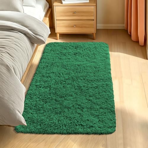 Smiry Area Rugs for Living Room Bedroom 2x4 ft, Fluffy Washable Carpet