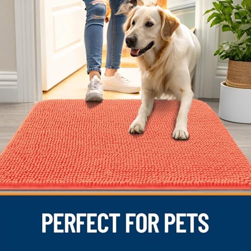 OLANLY Dog Door Mat for Muddy Paws 35x24, Super Absorbent Chenille Mud Mat
