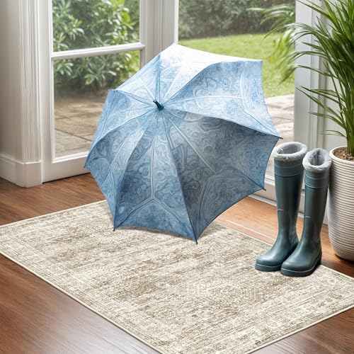 2x3 Rug Non Slip, Small Washable Entryway Rug,Brown