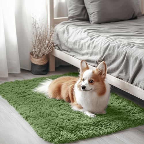 OLANLY 2x3 Machine Washable Small Bedside Rug, Soft Fluffy Shaggy Entryway Throw Rugs for Bedroom, Living Room, Indoor Floor Carpet for Kids Girls and Boys, Home Decor Aesthetic, Green