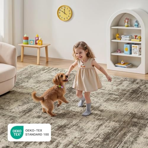 Lofus 8x10 Area Rug for Living Room, Abstract Washable Large Rugs, Brown