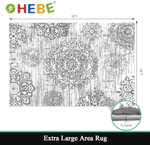 HEBE Area Rug for Living Room 6'x9', Washable Non Slip Boho Bedroom Rug