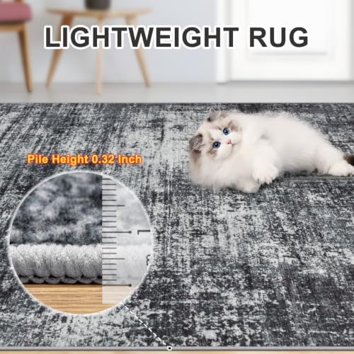 PLHXFR 10x14 Area Rug Living Room: Abstract Washable Carpet Dark Black