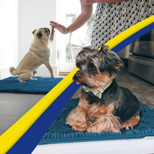 Muddy Mat® | Super Water Absorbent Door Mat Indoor, Microfiber Quick Dry Chenille Entryway Rug,Slip Resistant Front Door Mat,Indoor Mats for Entryway,Machine Washable Pet Rug, Atlantic Green 24" x 40"