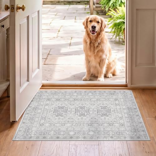 2x3 Area Rug Washable Vintage: Non Slip Throw Rugs for Entryway Floor Grey