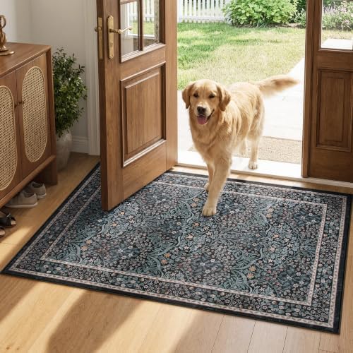 Lahome Black Entryway Kitchen Rugs, 2x3 Washable Door Mat Indoor Entrance