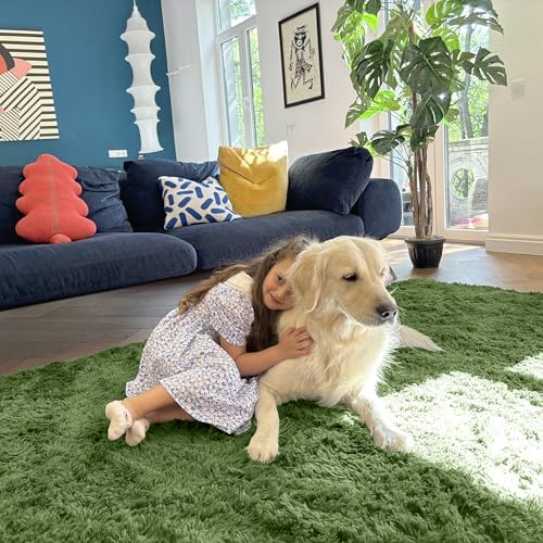 OLANLY Area Rugs for Living Room Bedroom, Machine Washable 4x5.9 ft Soft Fluffy Shaggy Bedside Rug, Indoor Floor Carpet for Kids Girls and Boys, Dorms, Nursery Rooms, Home Decor Aesthetic, Green