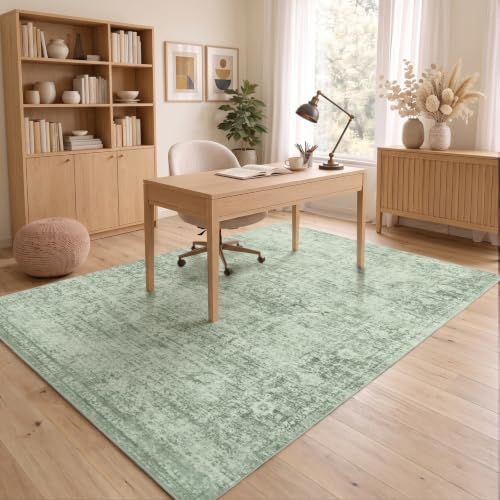 Homemate Washable Rug 5x7 Area Rugs - Vintage Rugs for Living Room