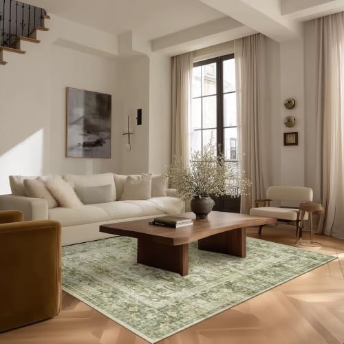 4x6 Washable Area Rugs for Entryway: Small Living Room Rug Non Slip Carpet