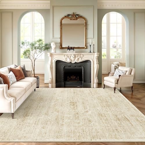 Soalmost 6x9 Area Rug for Living Room Washable Non-Slip Rugs Beige/Ivory