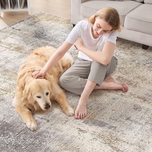 DMOYEST Area Rug Living Room Rugs - 5x7 Washable Soft Indoor Neutral Modern Abstract Low Pile Rug Carpet for Bedroom Dining Room Farmhouse Home Office - Brown Grey