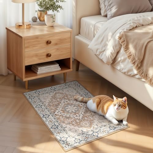Lofus 2x3 Washable Rug for Entryway Bathroom, Non Slip Kitchen Mats Brown