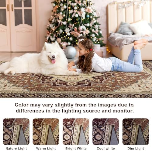 Macgace Washable Vintage Small Area Rug for Entryway, 2x3 Rugs Mousse Brown