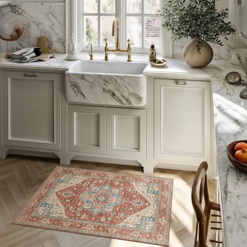 Washable Small Area Rugs for Entryway: 2x3 Door Mat Indoor Entrance