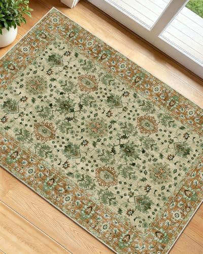 OLANLY 2x3 Washable Small Rug Non Slip Indoor Door Mat for Entryway Bedside