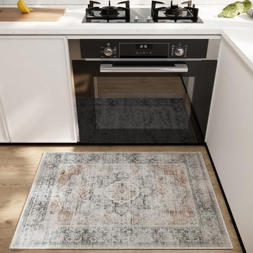 2x3 Washable Area Rugs for Entryway: Small Throw Rugs Low Pile Soft Carpet
