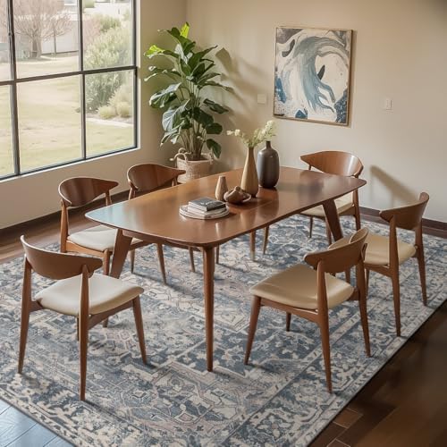 Rugxara Blue Area Rugs 5x7 Washable Rug for Living Room Bedroom