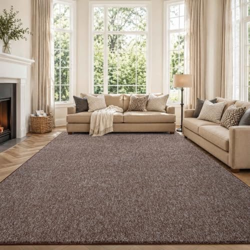 6x9 Large Brown/White Area Rug Non-Slip Washable for Living Room Bedroom