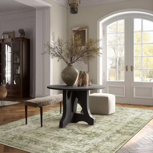 4x6 Washable Area Rugs for Entryway: Small Living Room Rug Non Slip Carpet