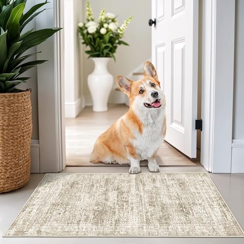 2x3 Rug Non Slip, Small Washable Entryway Rug,Brown