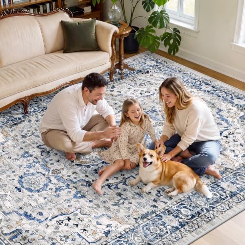 SameBed 8x10 Area Rug Living Room, Vintage Washable Carpet Light Blue