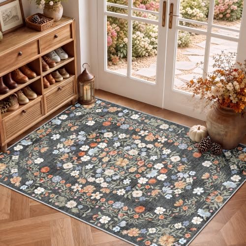SameBed 3x5 Area Rug Living Room, Vintage Washable Carpet Carbon Gray