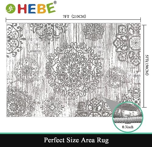HEBE Area Rug for Living Room 5'x7', Washable Non Slip Boho Bedroom Rug
