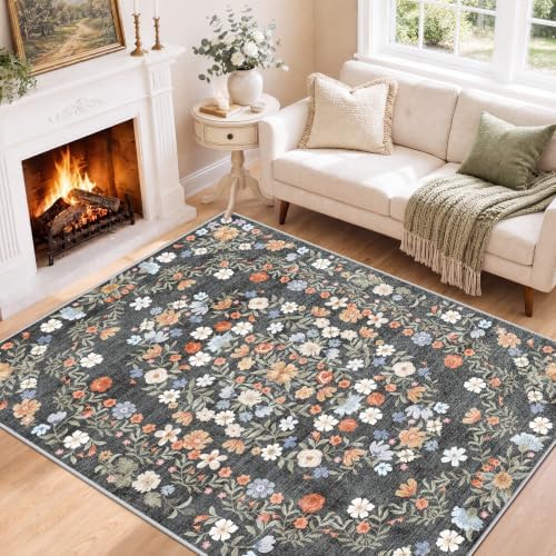 SameBed 4x6 Area Rug Living Room, Vintage Washable Carpet Carbon Gray