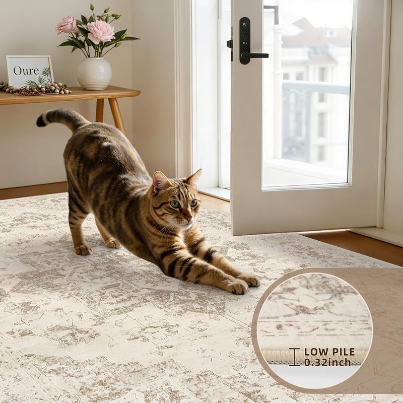 3x5 Area Rugs Living Room: Bedroom Washable Carpet Beige/Ivory