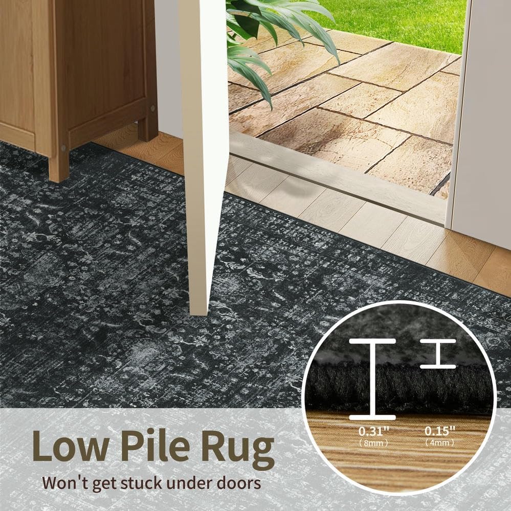 Rugxara Black 4x6 Area Rug Washable Rug for Living Room Bedroom Office